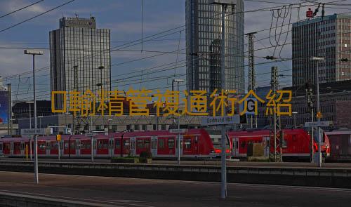 輸精管複通術介紹