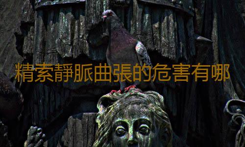 精索靜脈曲張的危害有哪些?
